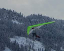 Target