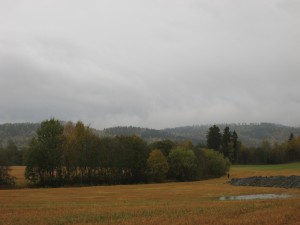 Fall is here...