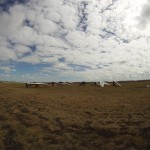 Dalby 2010, Day 7