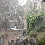 Rain in Sydney, view from our living room vindow