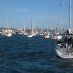 Loads of boats