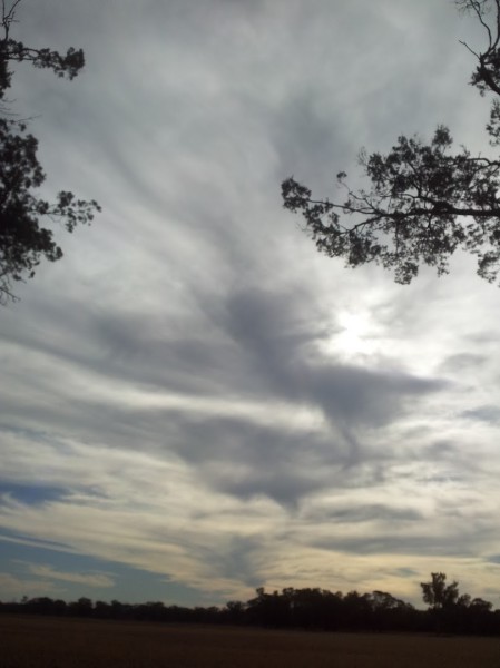 Cirrus covered sky